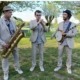 Le trio de jazz New Orleans Lil'Brass Band dans un parc jouant un morceau de jazz.